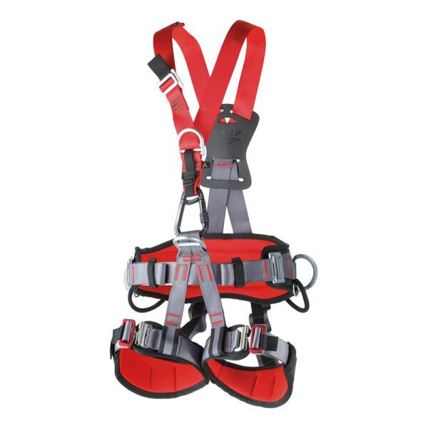 PPE Safety Harness